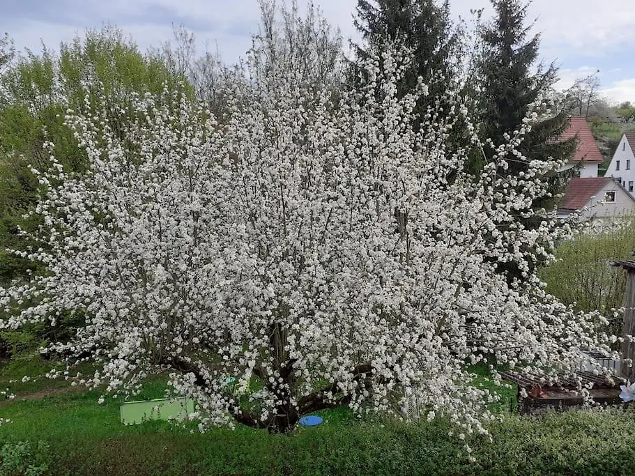 4 Km Zu A7 Und A71, Idylle Am Bach, Grosser Garten Euerbach Apartment