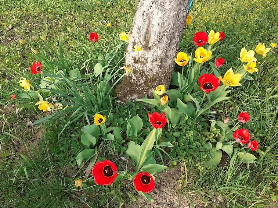 4 Km Zu A7 Und A71, Idylle Am Bach, Grosser Garten Euerbach Apartment